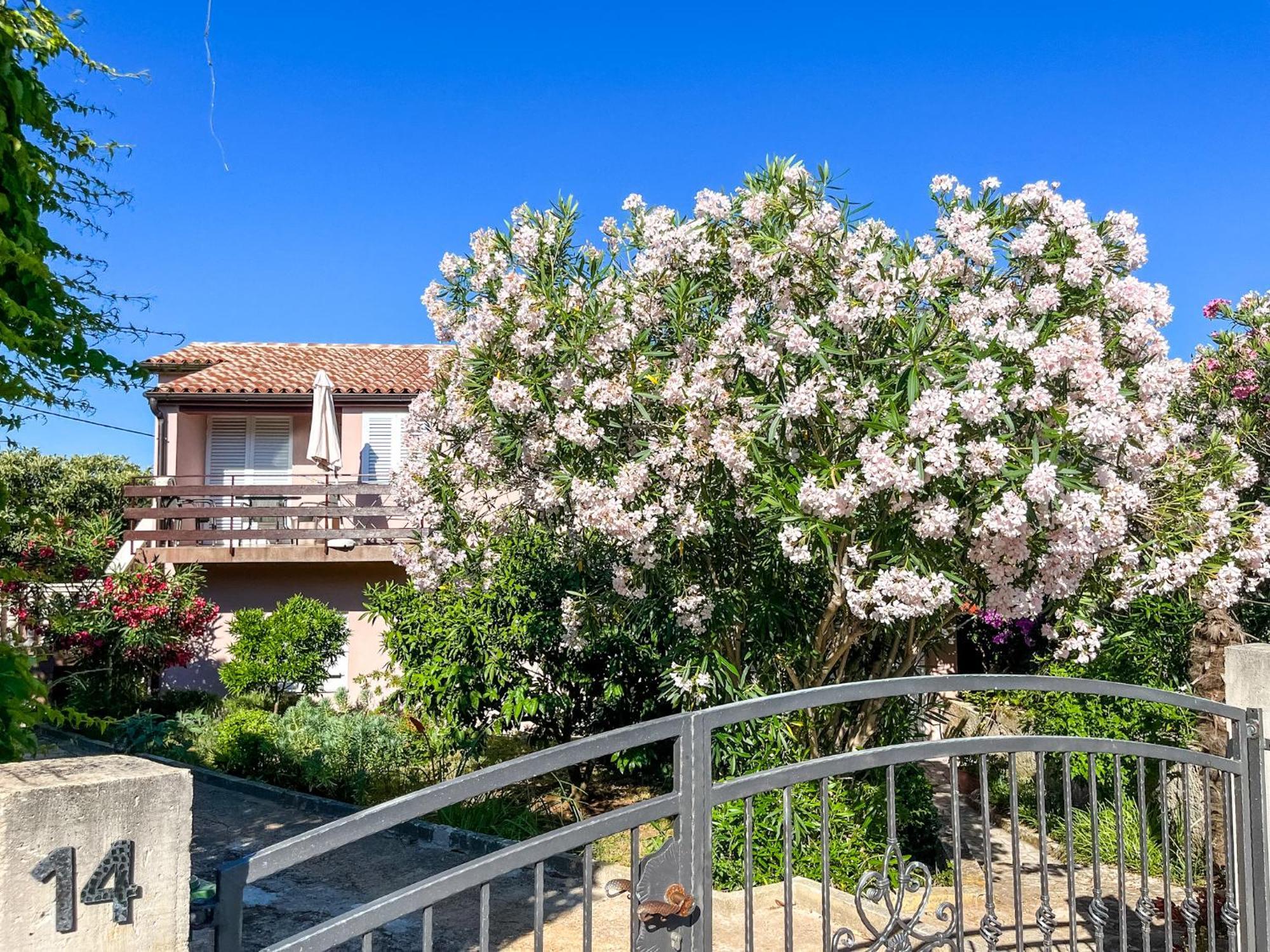 Apartment Lidija Banjole Zewnętrze zdjęcie